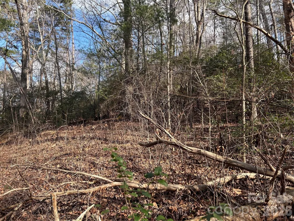 303 Burke Street Hickory, NC 28601