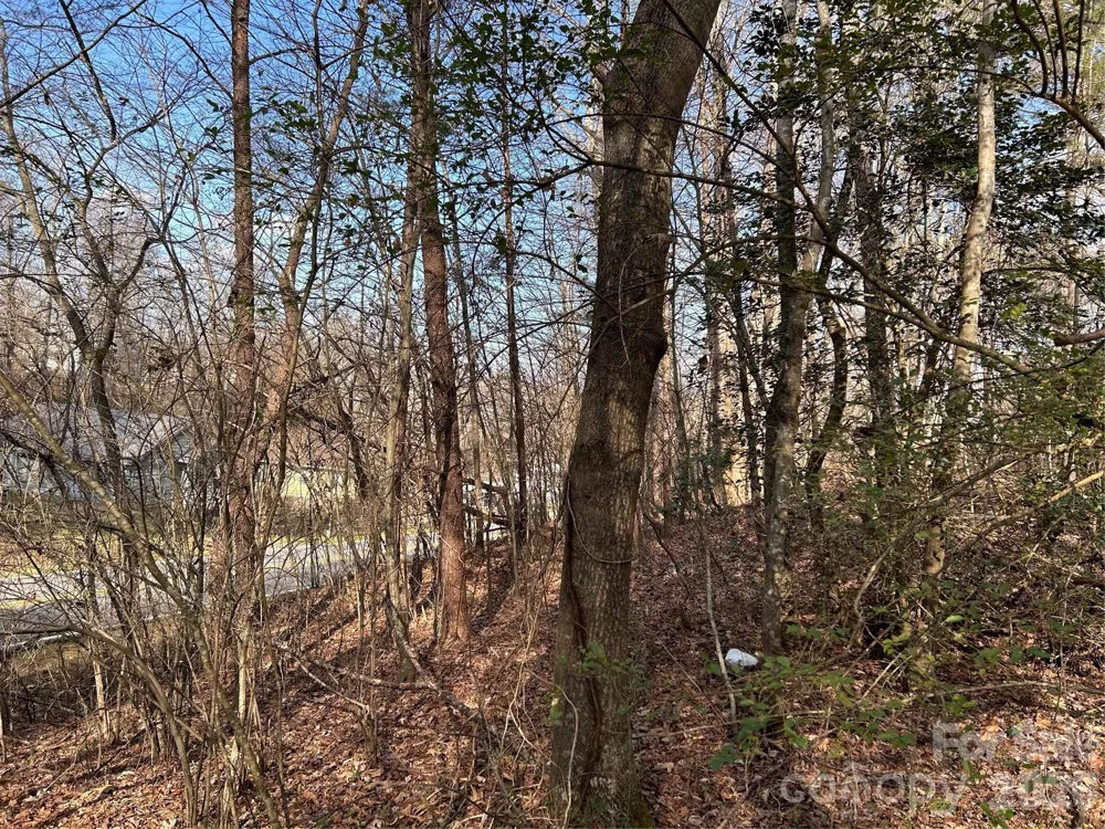 303 Burke Street Hickory, NC 28601
