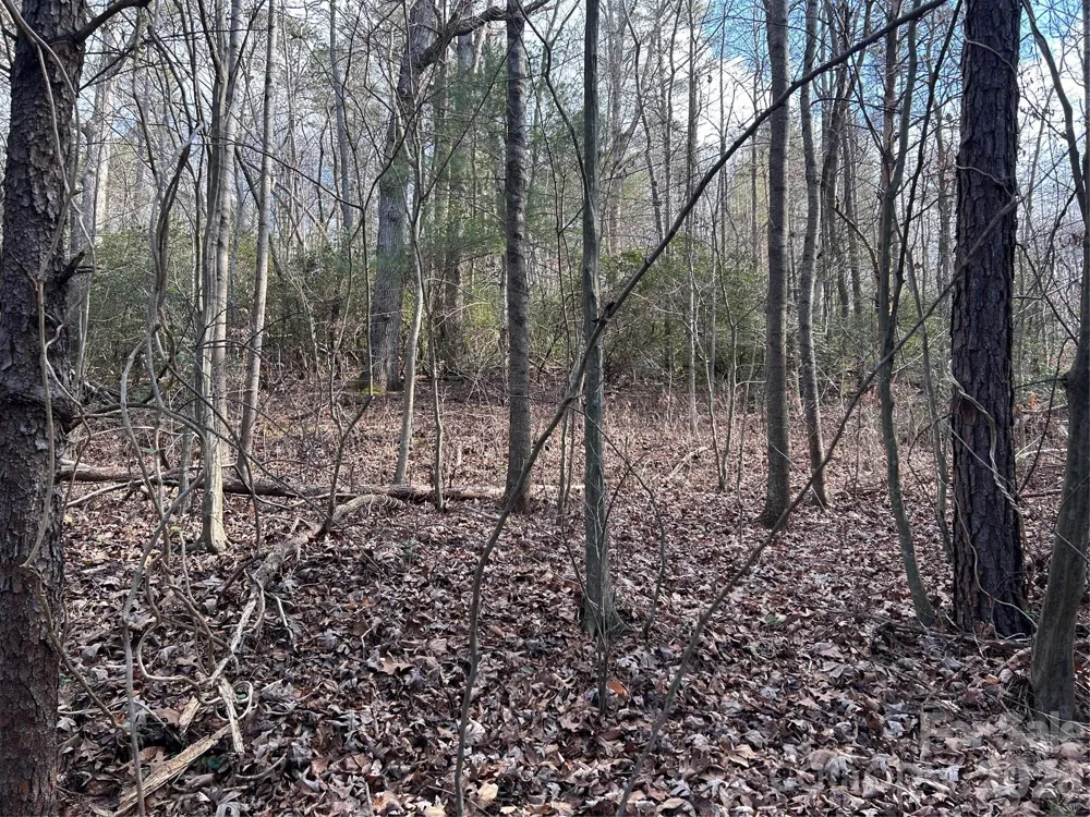 301 Burke Street Hickory, NC 28601