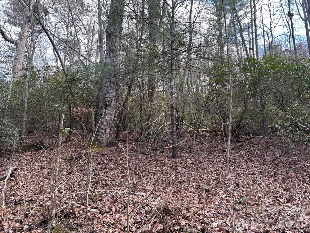 301 Burke Street Hickory, NC 28601