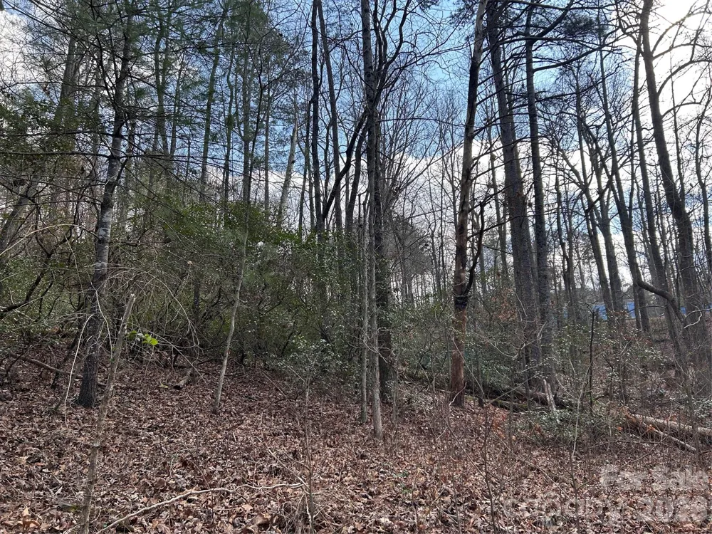 301 Burke Street Hickory, NC 28601