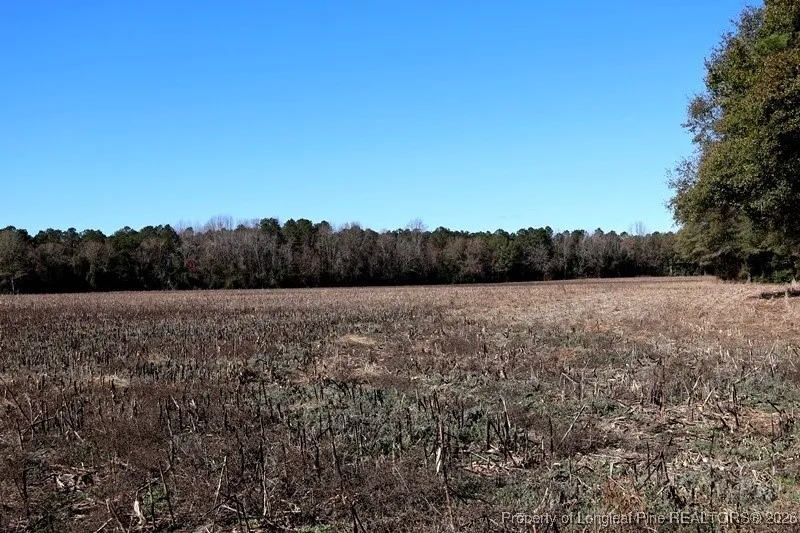 Stuarts Mill Road Fairmont, NC 28340