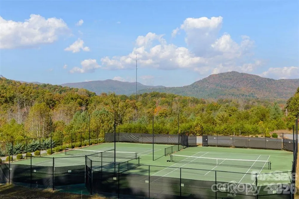 146 Red Hawk Knoll Lake Lure, NC 28746