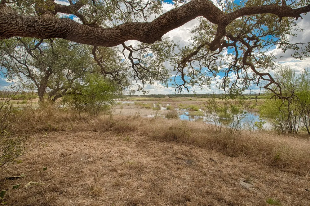 348 Chimney Cove Drive Marble Falls, TX 78654