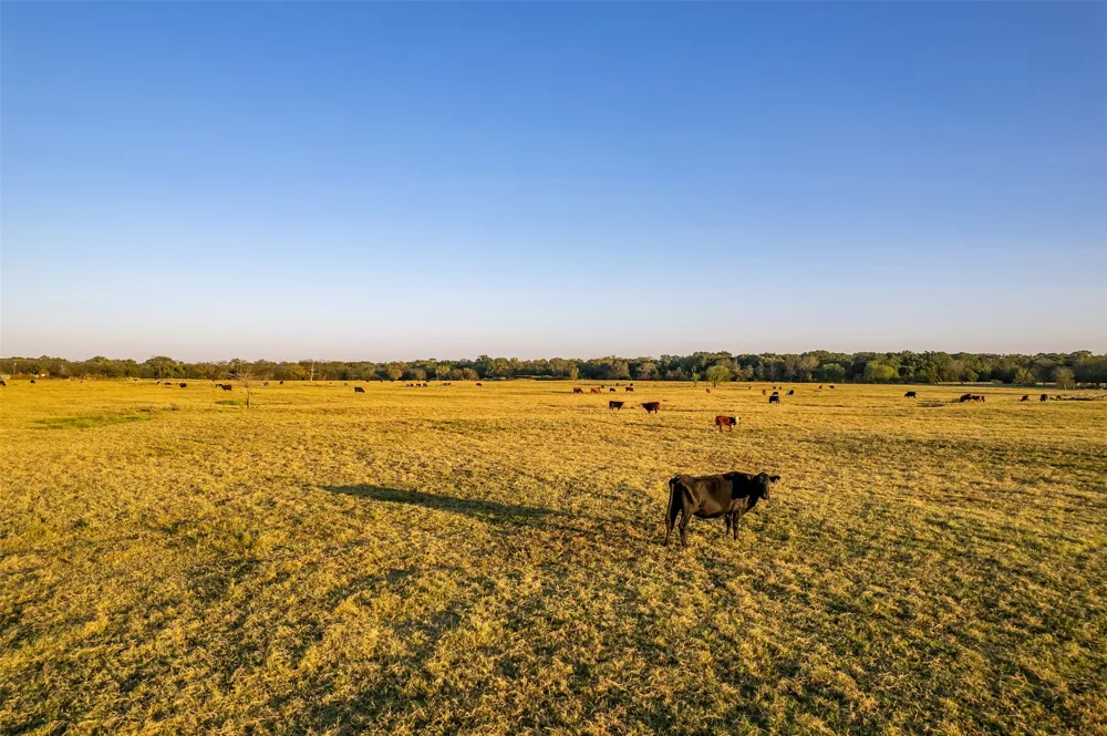 5081 154 Highway Yantis, TX 75497