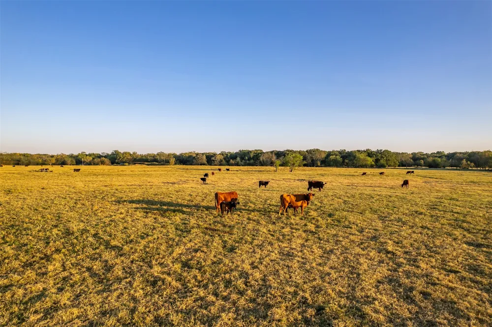 5081 154 Highway Yantis, TX 75497