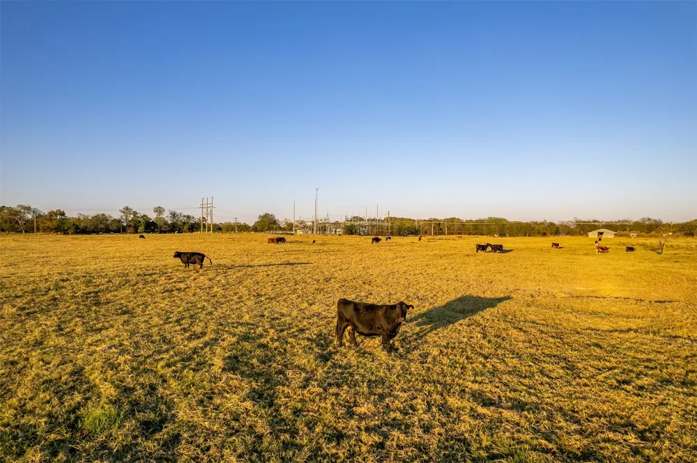 5081 154 Highway Yantis, TX 75497