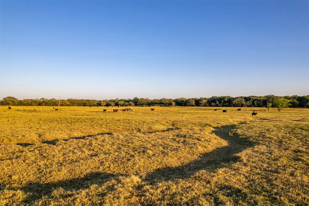 5081 154 Highway Yantis, TX 75497
