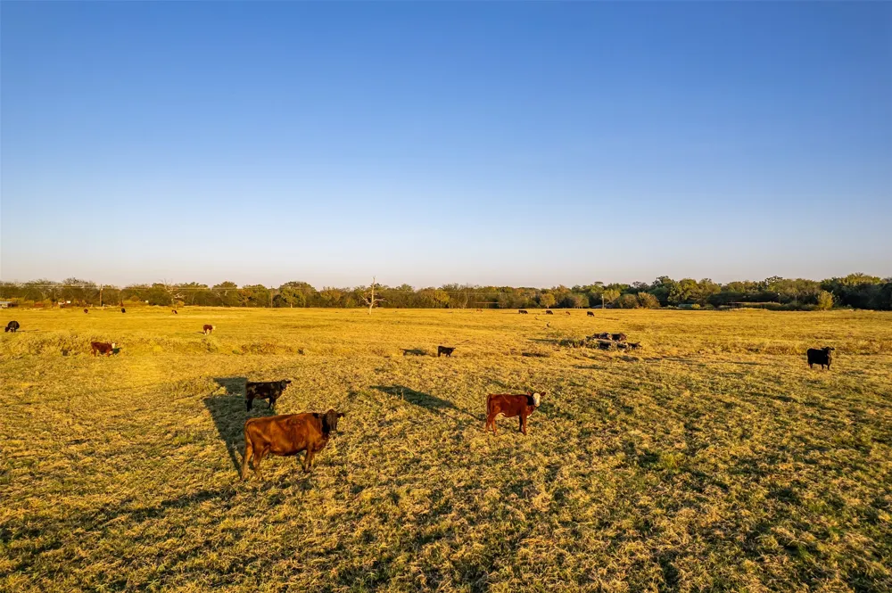 5081 154 Highway Yantis, TX 75497