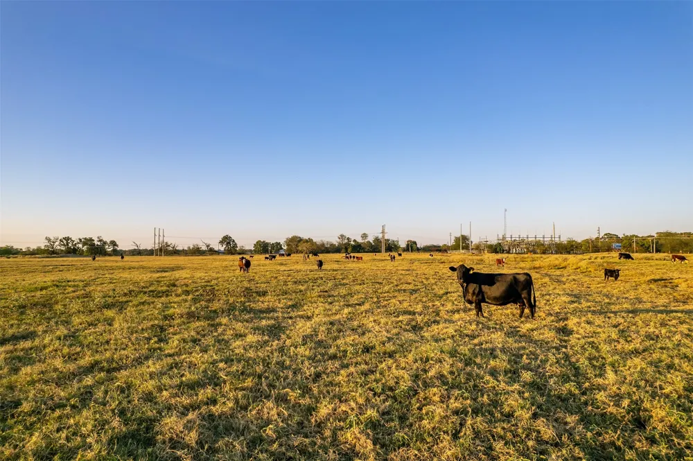 5081 154 Highway Yantis, TX 75497