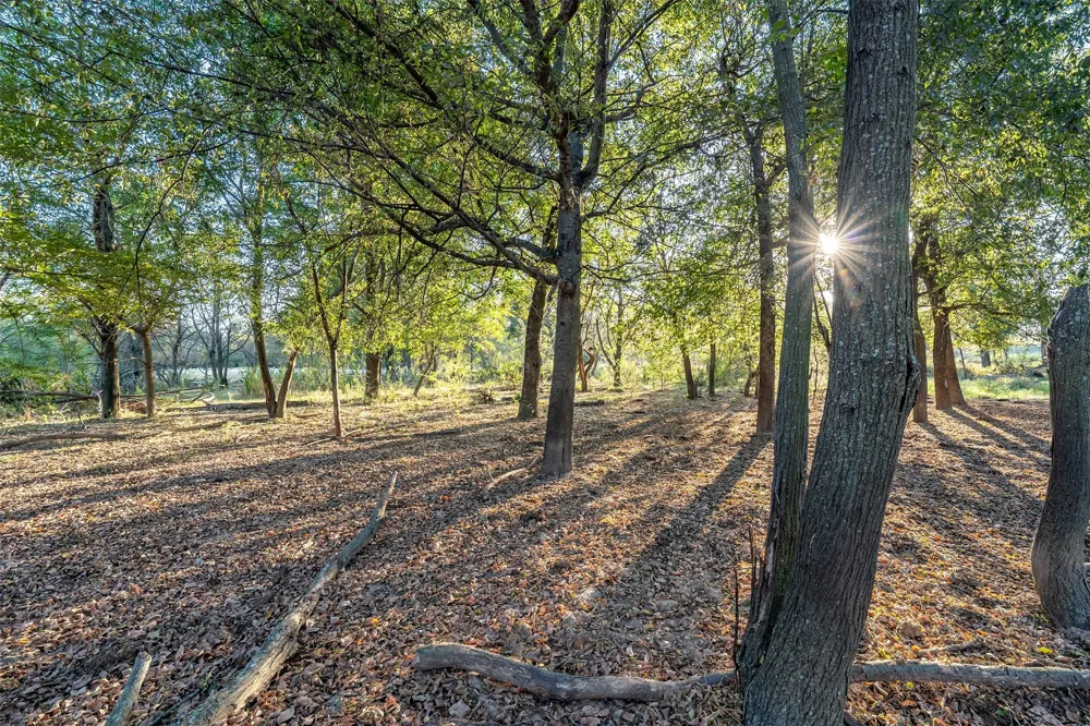 5081 154 Highway Yantis, TX 75497