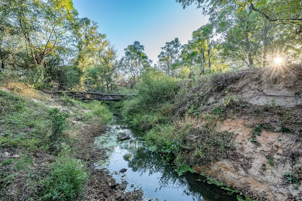 5081 154 Highway Yantis, TX 75497