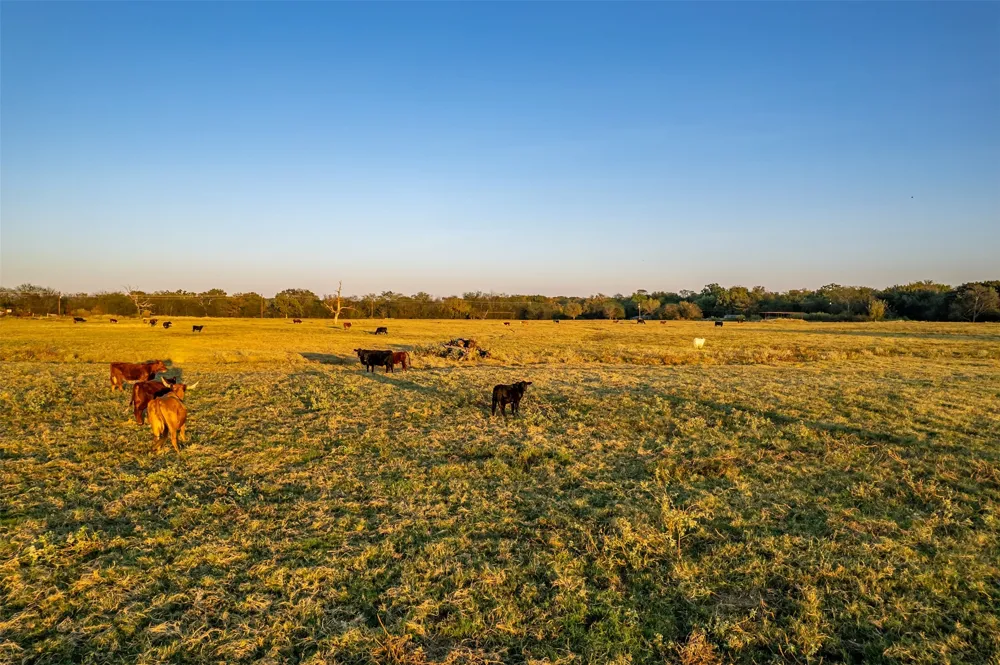 5081 154 Highway Yantis, TX 75497