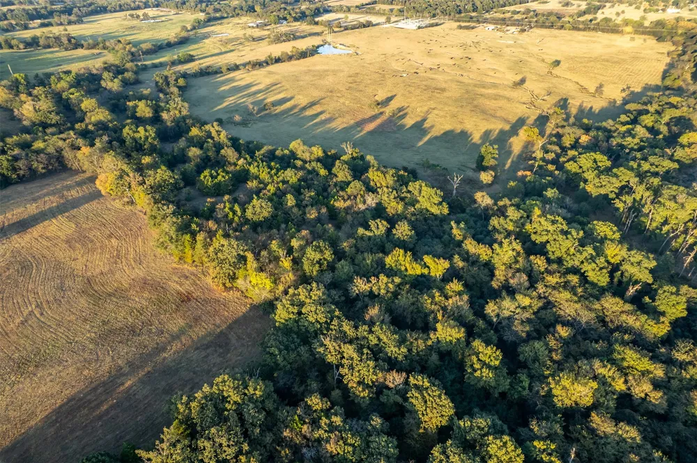 5081 154 Highway Yantis, TX 75497