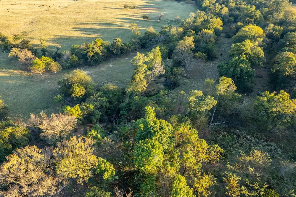 5081 154 Highway Yantis, TX 75497