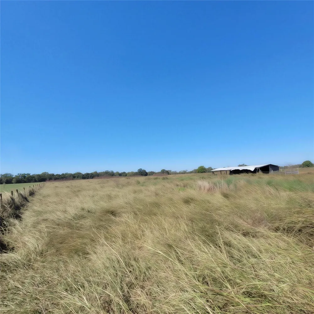 740 County Road 164 Boling, TX 77420