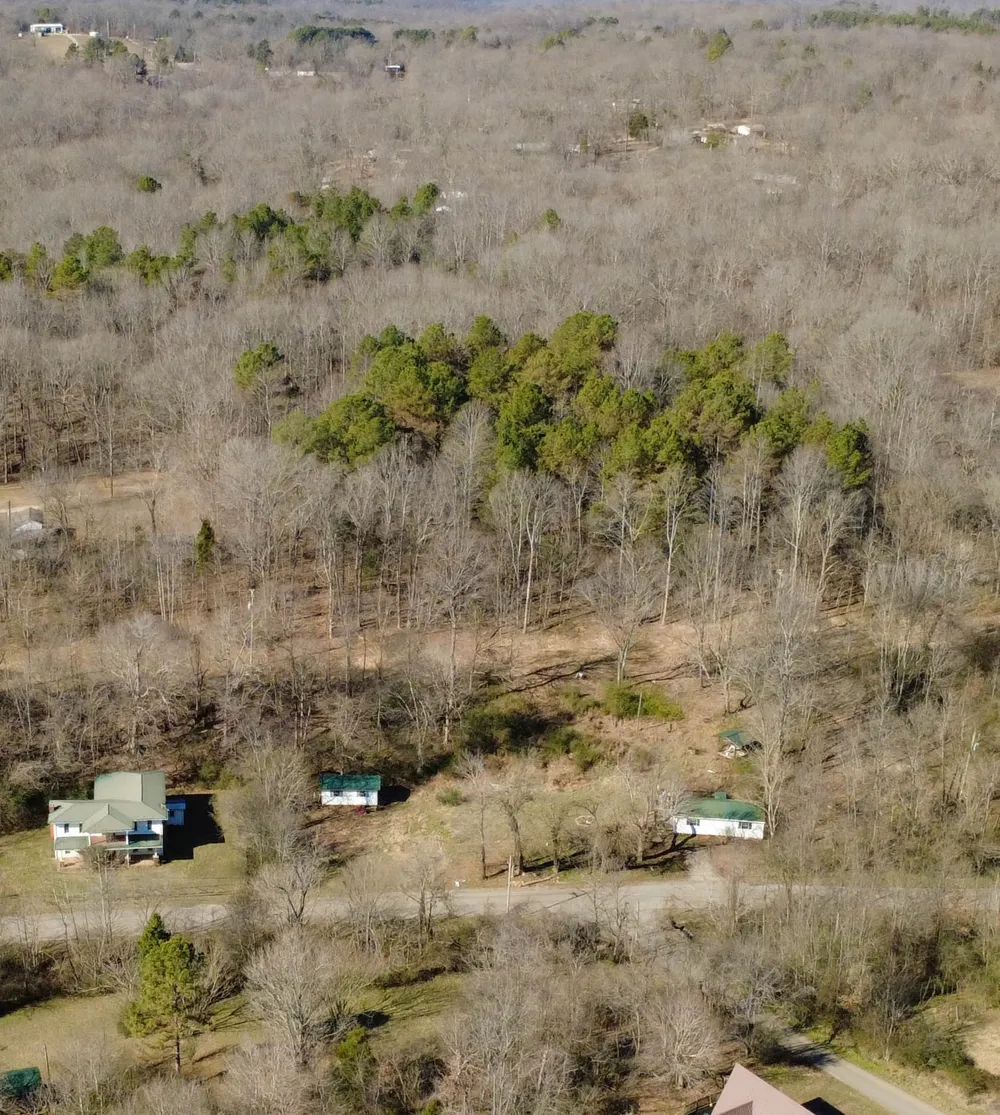 531 Big Rock Rd Big Rock, TN 37023