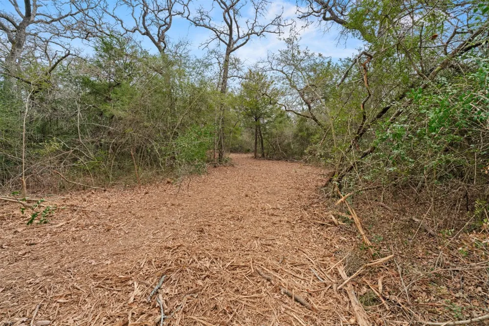 County Road 326 Lot 8 Rockdale, TX 76567