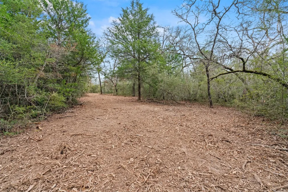 County Road 326 Lot 8 Rockdale, TX 76567