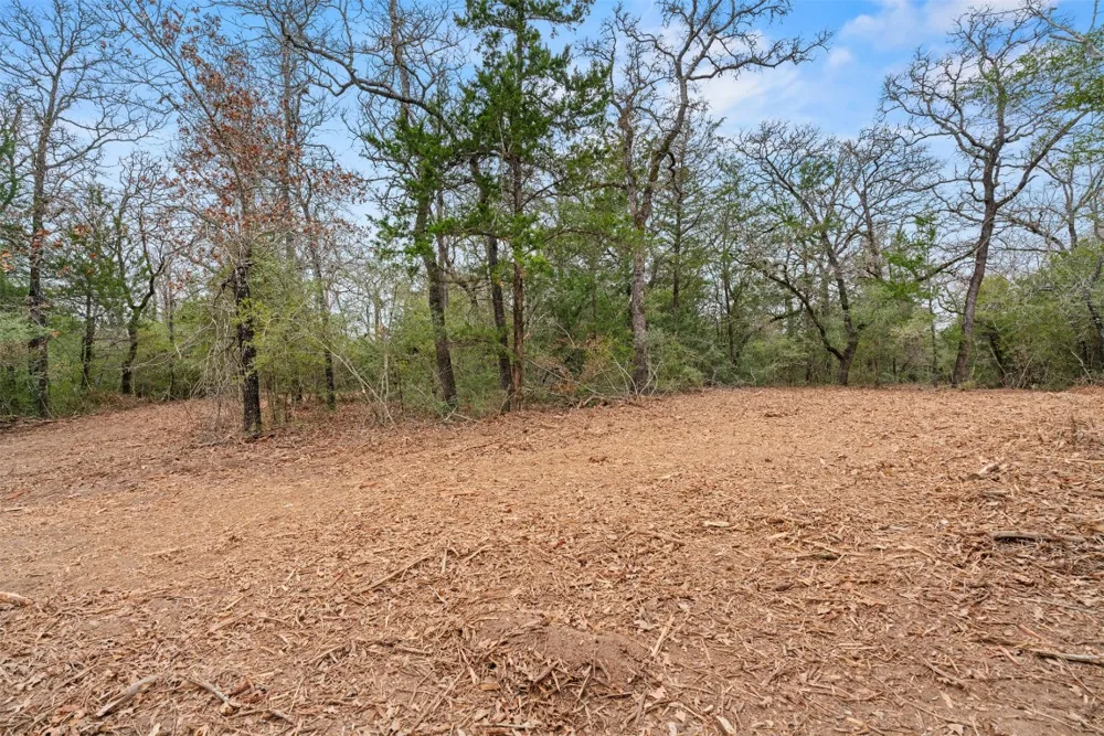 County Road 326 Lot 8 Rockdale, TX 76567
