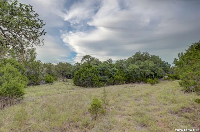 438 Yellowstone Lane Hunt, TX 78024