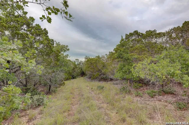 438 Yellowstone Lane Hunt, TX 78024