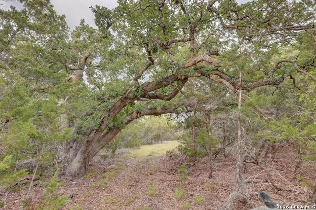 438 Yellowstone Lane Hunt, TX 78024