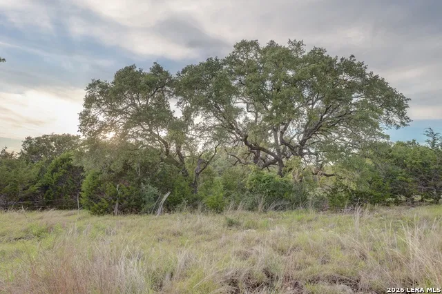 438 Yellowstone Lane Hunt, TX 78024
