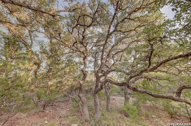 438 Yellowstone Lane Hunt, TX 78024