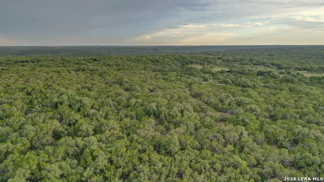 438 Yellowstone Lane Hunt, TX 78024