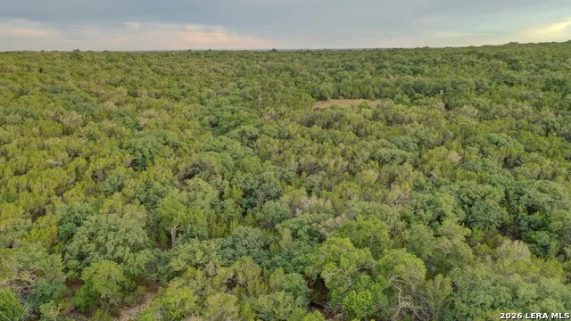438 Yellowstone Lane Hunt, TX 78024