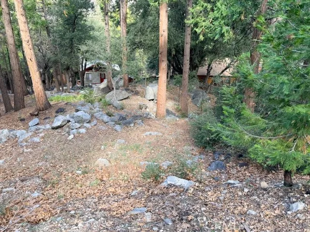 40904 Spruce Forest Falls, CA 92339