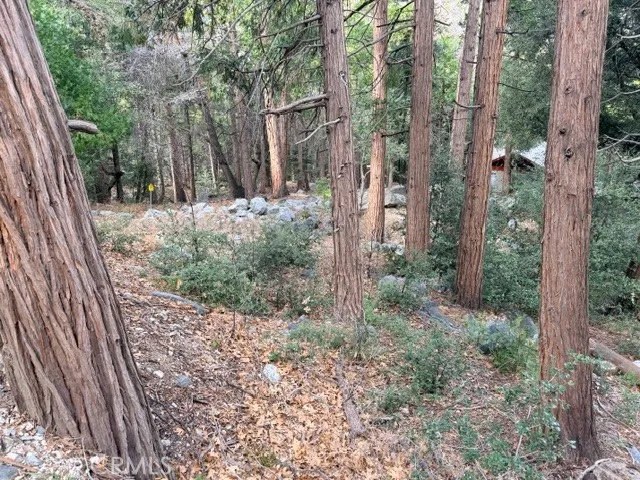 40904 Spruce Forest Falls, CA 92339
