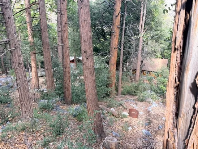 40904 Spruce Forest Falls, CA 92339