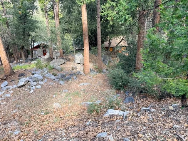 40904 Spruce Forest Falls, CA 92339