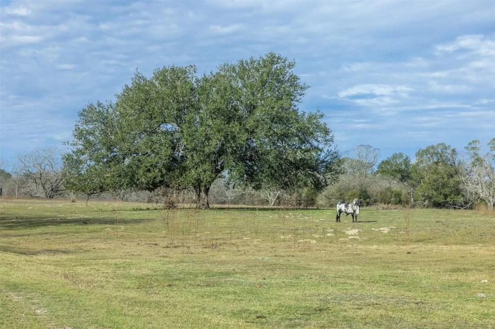 1820 South Old Smithville Road Flatonia, TX 78941