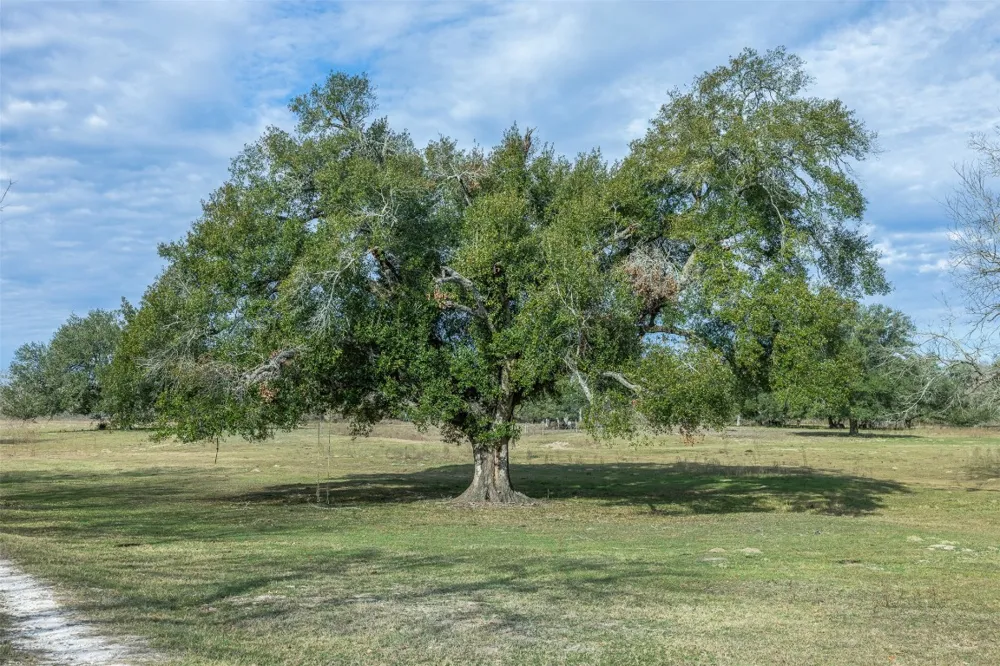 1820 South Old Smithville Road Flatonia, TX 78941
