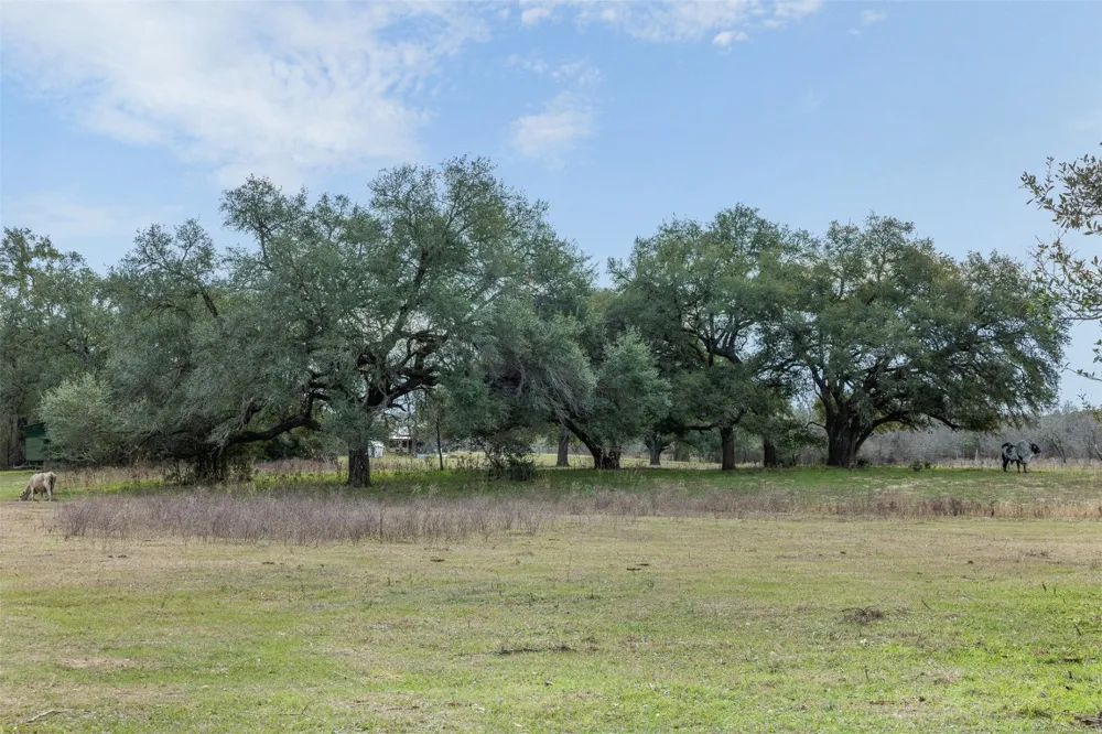 1820 South Old Smithville Road Flatonia, TX 78941