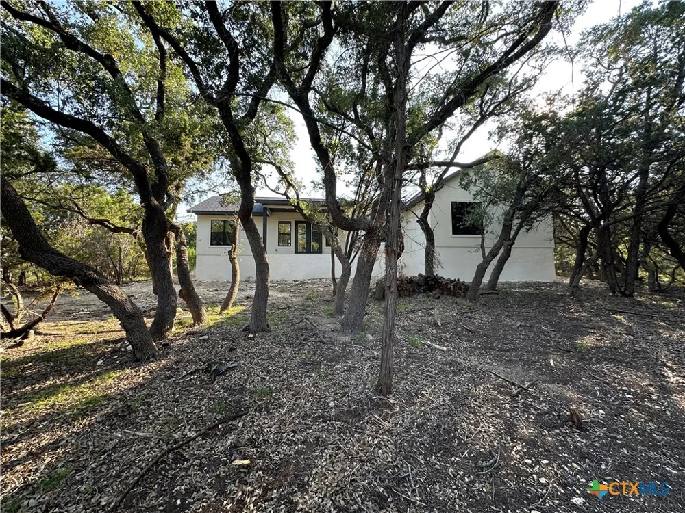 1229 Stallion Springs Drive Fischer, TX 78623