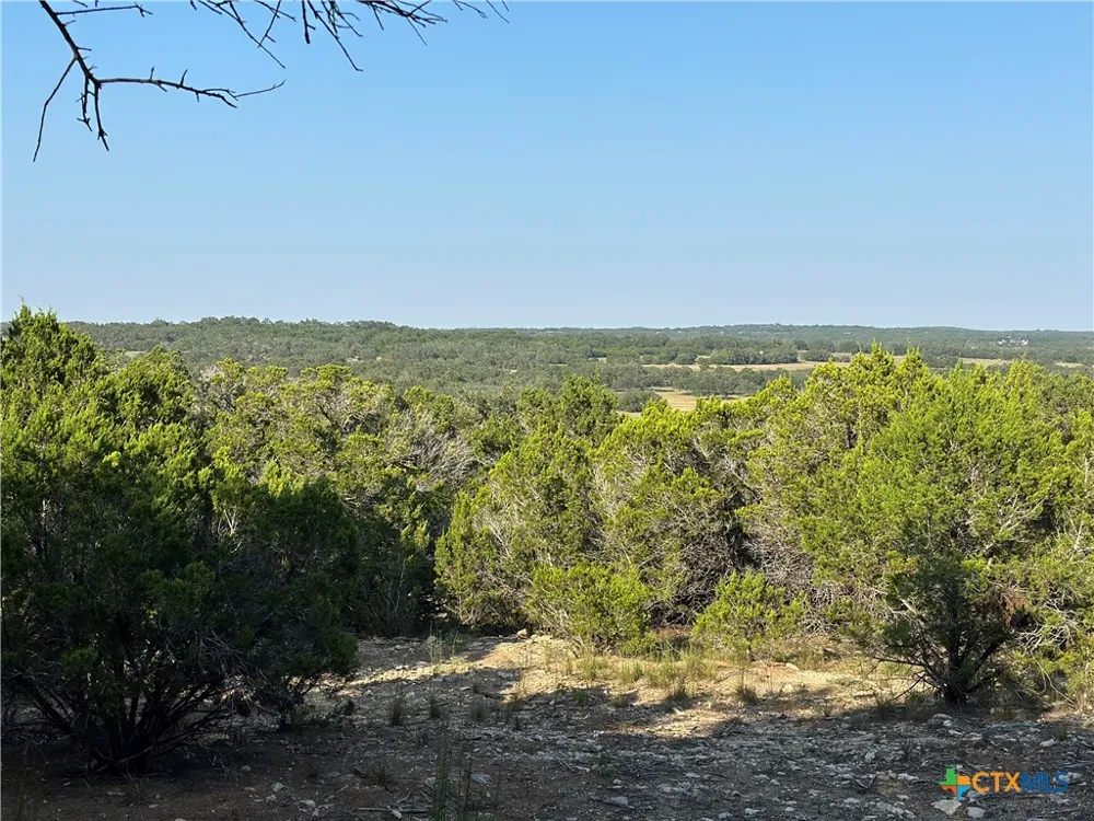 1229 Stallion Springs Drive Fischer, TX 78623