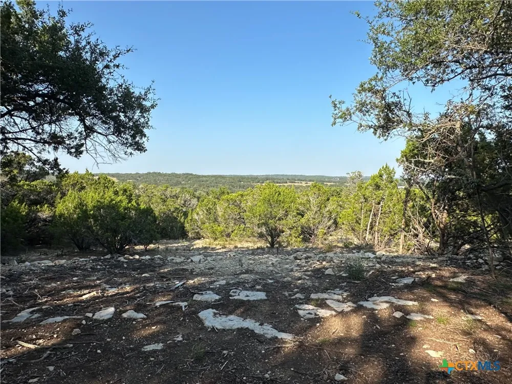 1229 Stallion Springs Drive Fischer, TX 78623