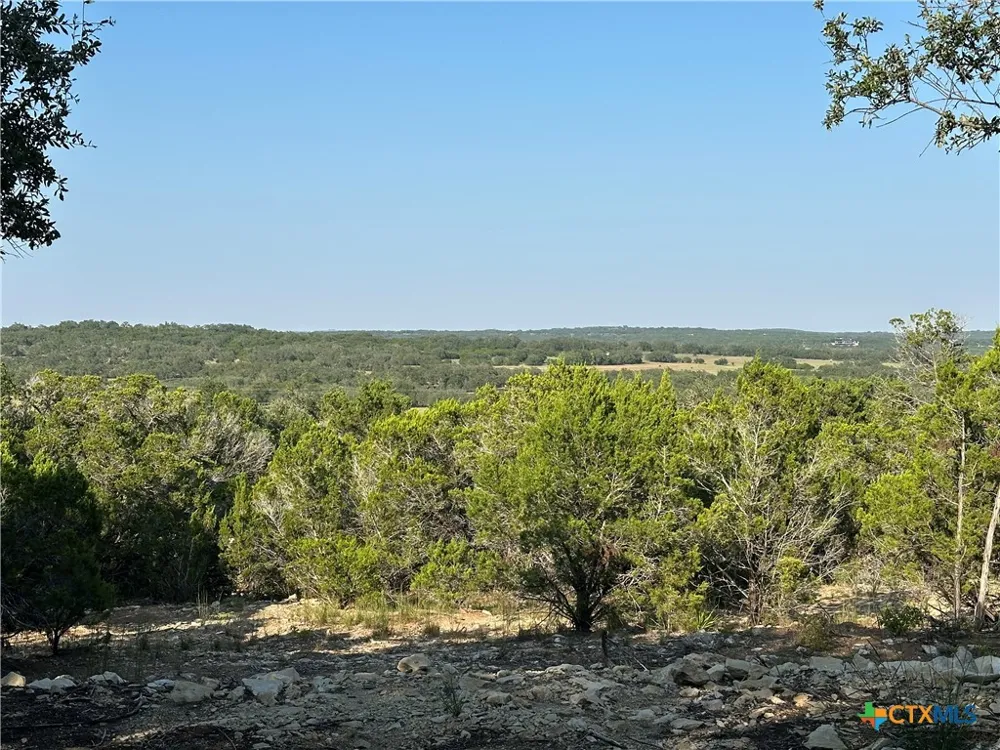 1229 Stallion Springs Drive Fischer, TX 78623