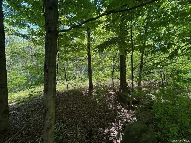 20 Hickory Lane Pawling, NY 12564