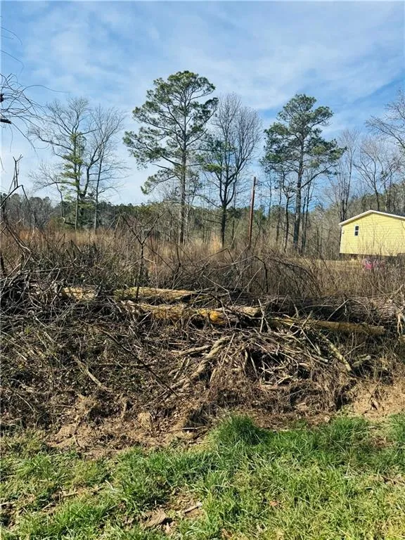 508 Mckibben Road Buchanan, GA 30113