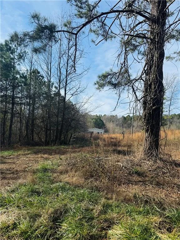 508 Mckibben Road Buchanan, GA 30113