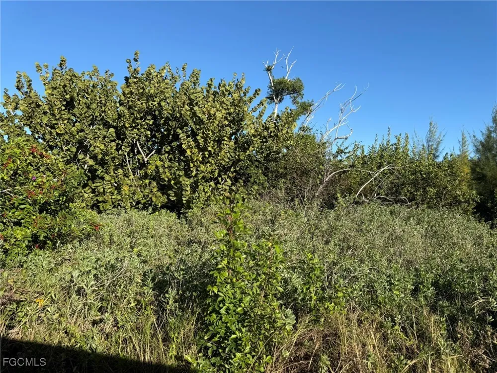 Swallow Drive Captiva, FL 33924