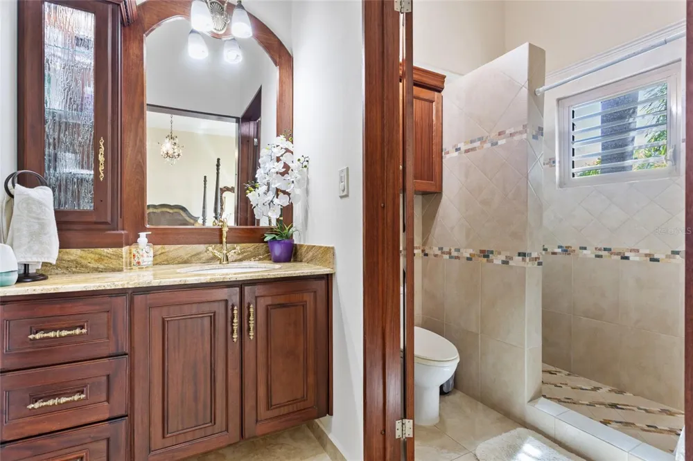 10 URB MIRADOR DEL CIELO Isabela, PR 00662