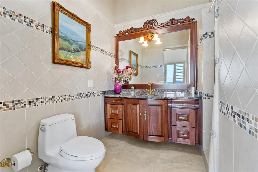 10 URB MIRADOR DEL CIELO Isabela, PR 00662