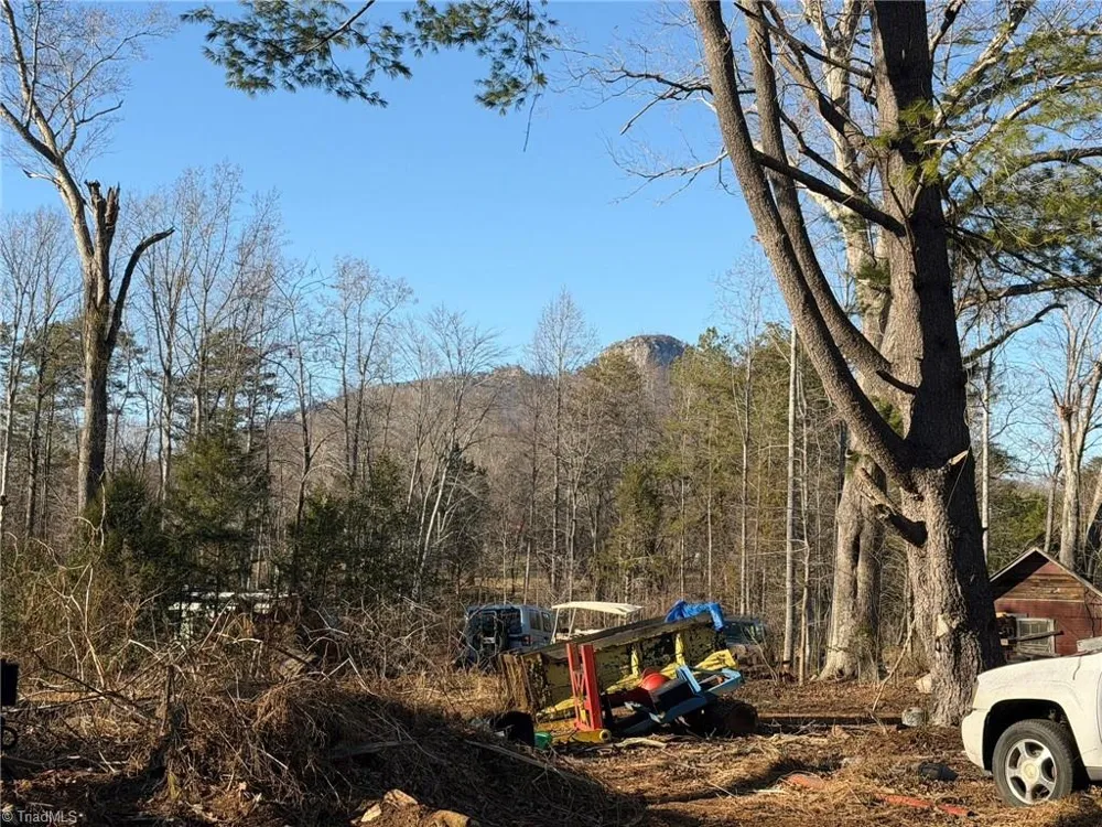 538 & 545 Culler Road Pinnacle, NC 27043