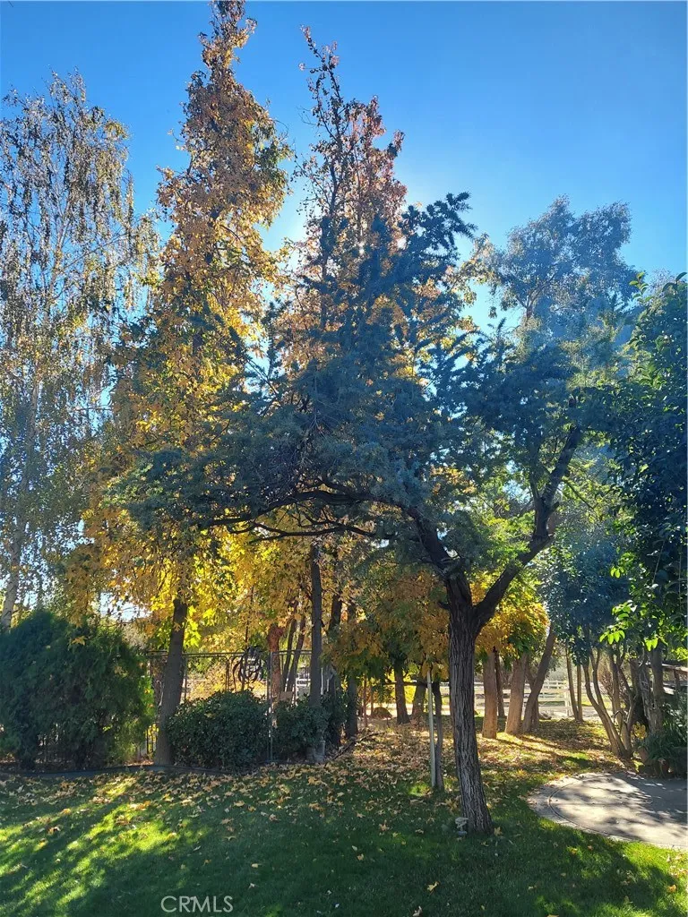 48208 Tanglewood Court Aguanga, CA 92536